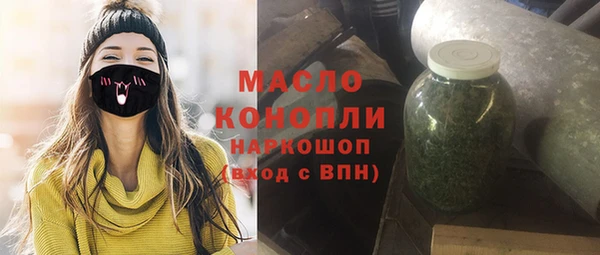 гашик Ладушкин