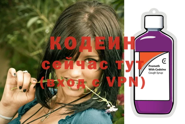 гашик Ладушкин