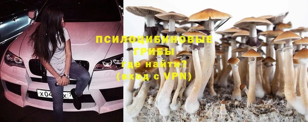 таблы Сосновоборск
