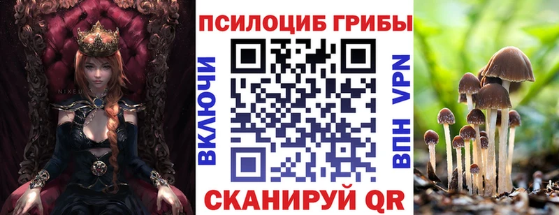 Псилоцибиновые грибы прущие грибы  Сунжа 