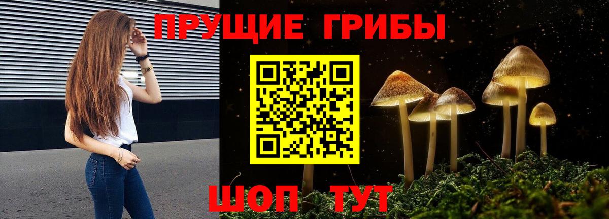 Галлюциногенные грибы прущие грибы Сунжа